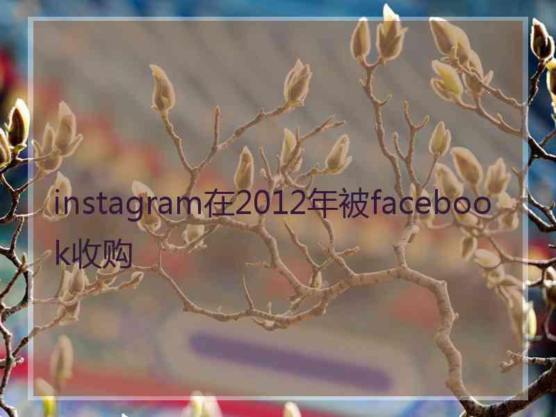 instagram在2012年被facebook收购