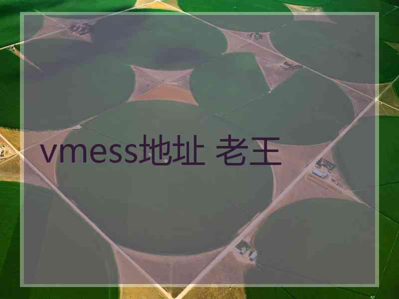 vmess地址 老王