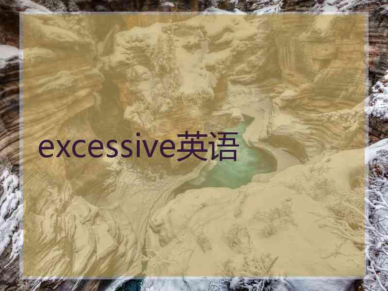 excessive英语