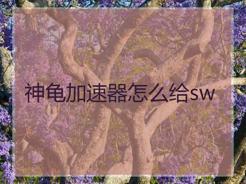 神龟加速器怎么给sw