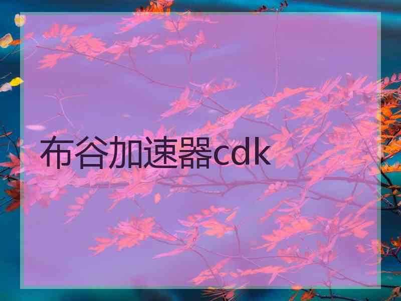 布谷加速器cdk