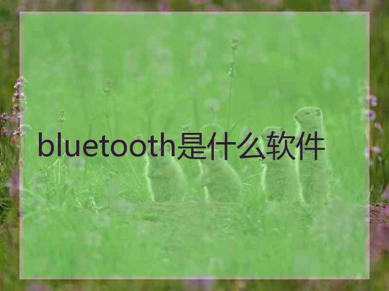 bluetooth是什么软件