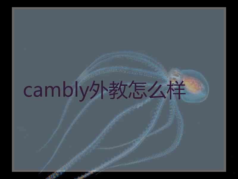 cambly外教怎么样