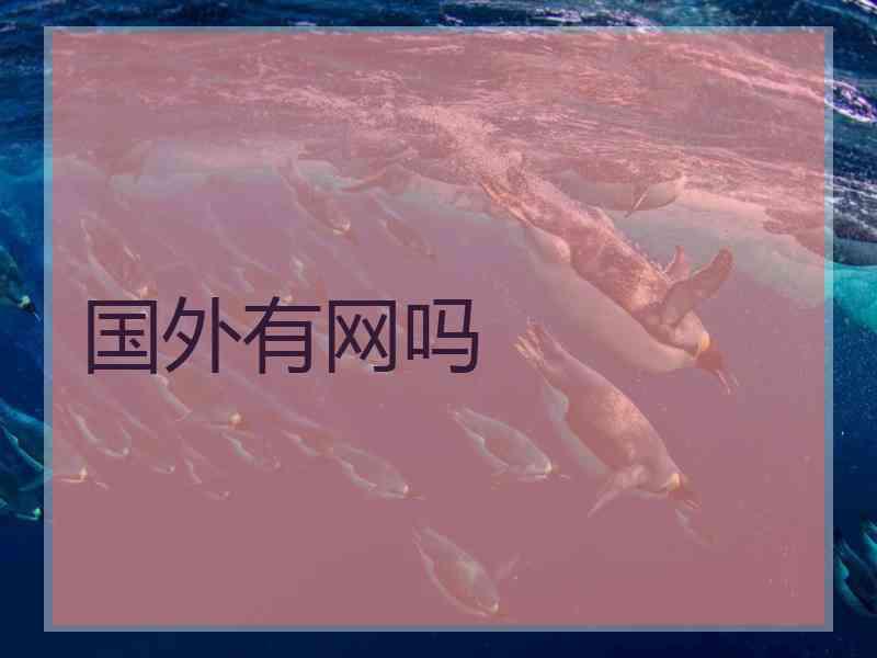 国外有网吗