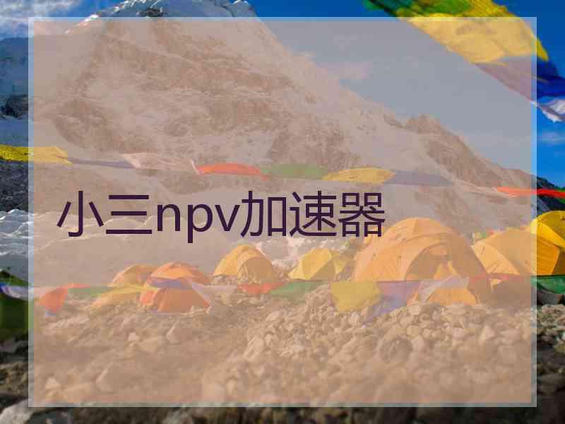 小三npv加速器