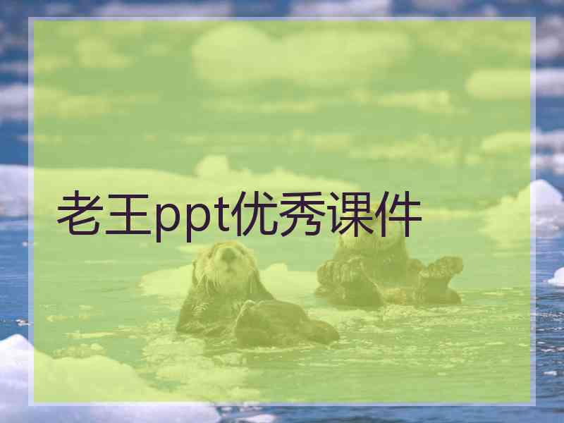 老王ppt优秀课件