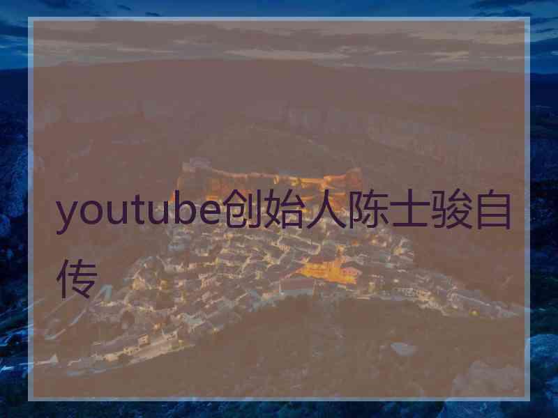 youtube创始人陈士骏自传