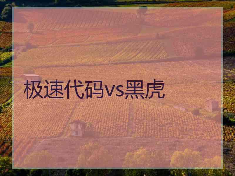 极速代码vs黑虎