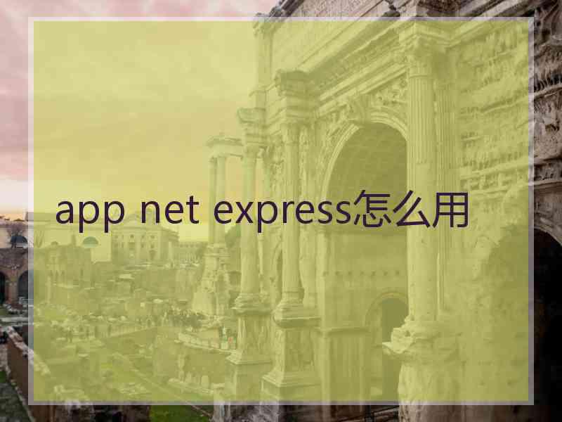 app net express怎么用