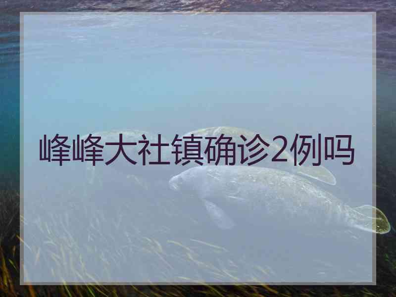 峰峰大社镇确诊2例吗