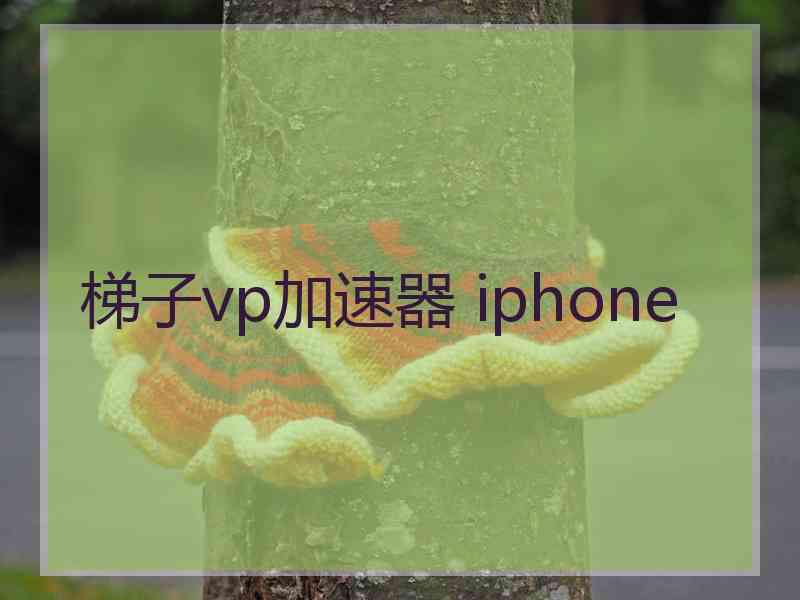 梯子vp加速器 iphone