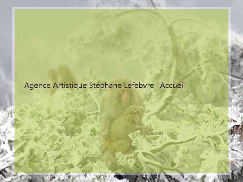 Agence Artistique Stéphane Lefebvre | Accueil