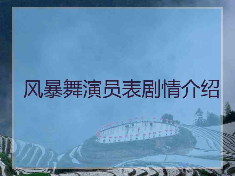 风暴舞演员表剧情介绍