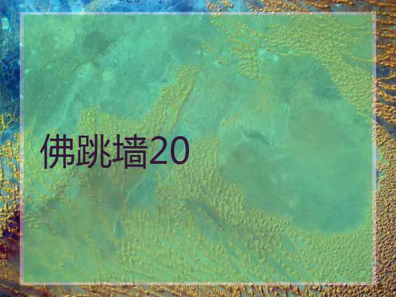 佛跳墙20