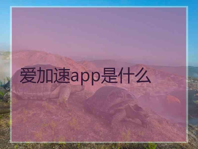 爱加速app是什么