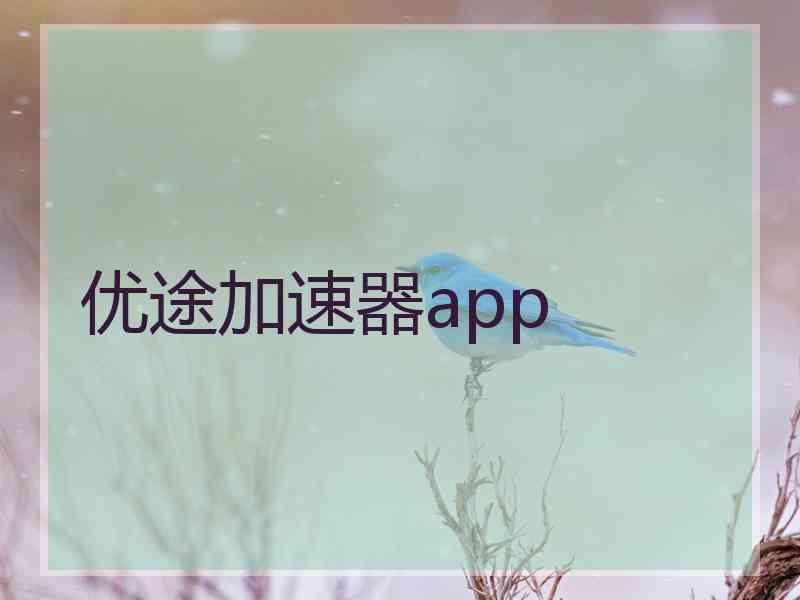 优途加速器app