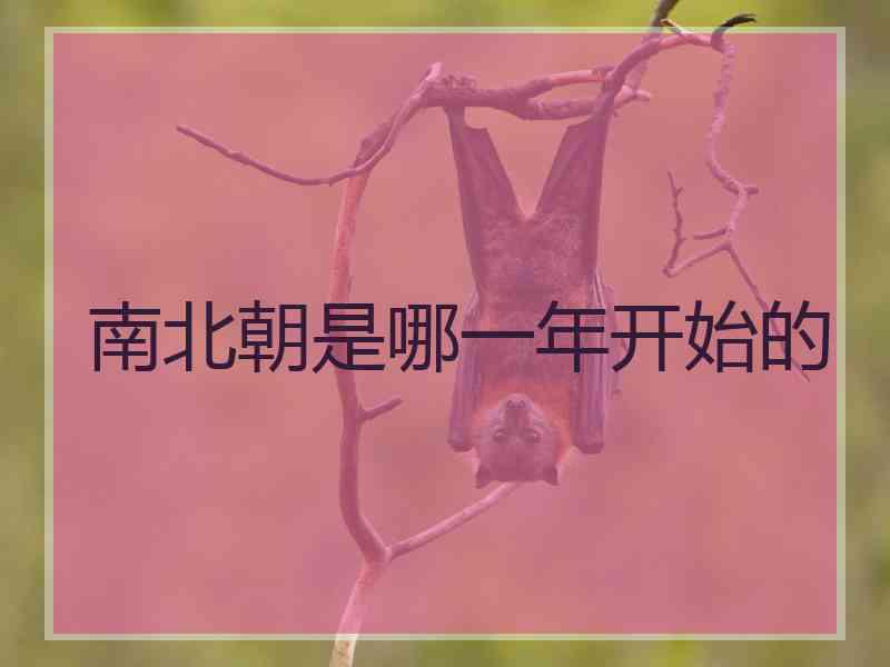 南北朝是哪一年开始的