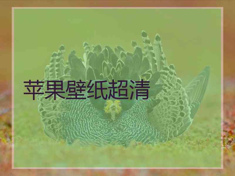 苹果壁纸超清