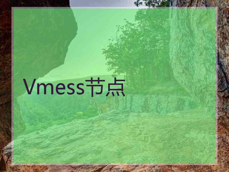 Vmess节点