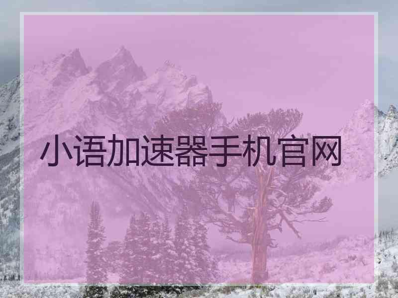 小语加速器手机官网