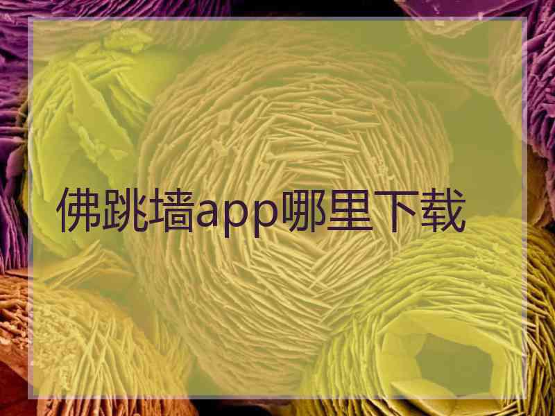 佛跳墙app哪里下载