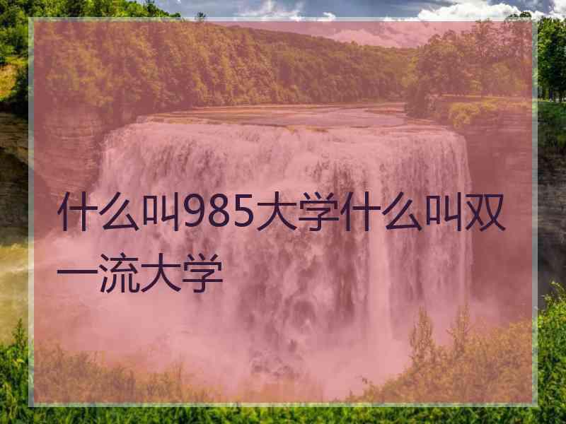 什么叫985大学什么叫双一流大学