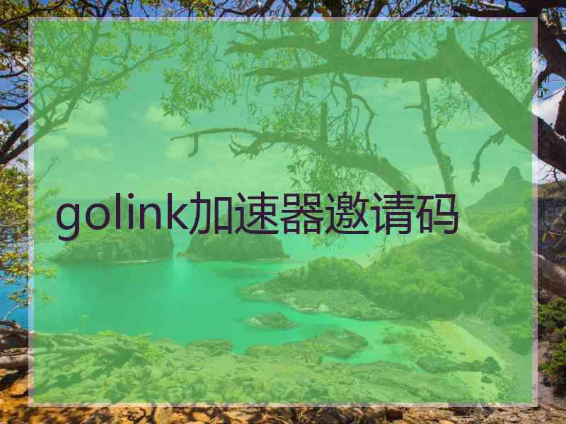 golink加速器邀请码