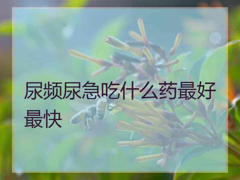 尿频尿急吃什么药最好最快