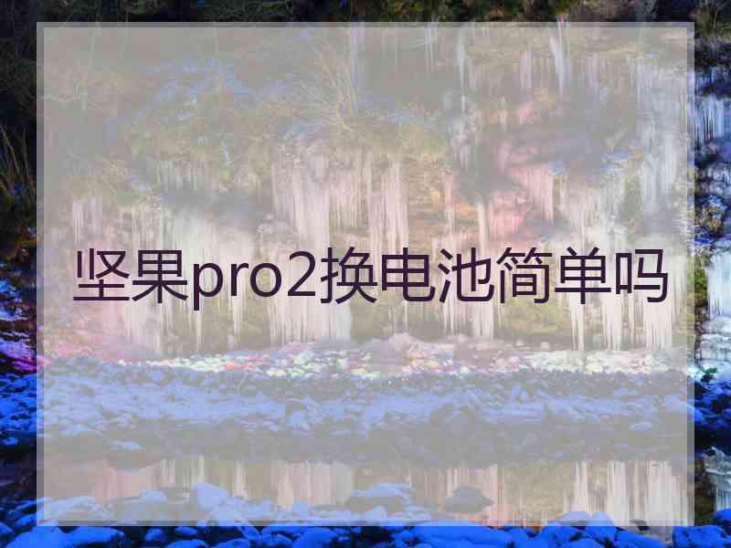 坚果pro2换电池简单吗