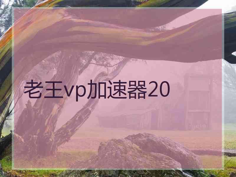 老王vp加速器20