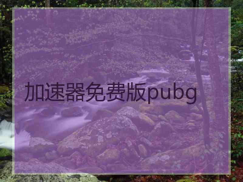 加速器免费版pubg