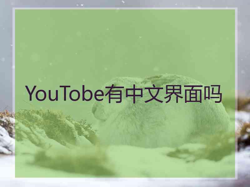 YouTobe有中文界面吗