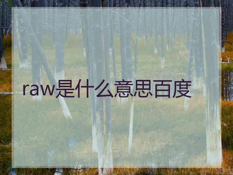 raw是什么意思百度