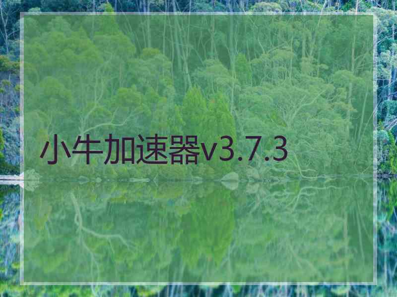 小牛加速器v3.7.3