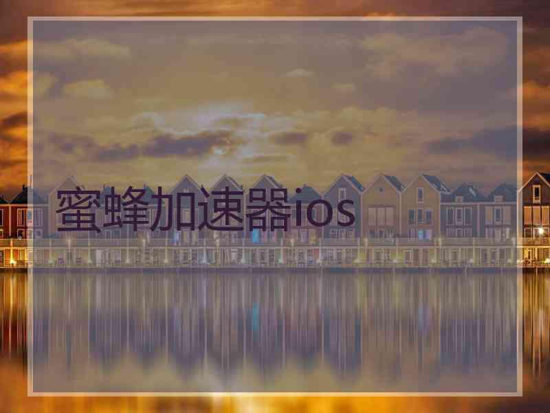 蜜蜂加速器ios