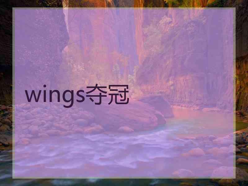 wings夺冠