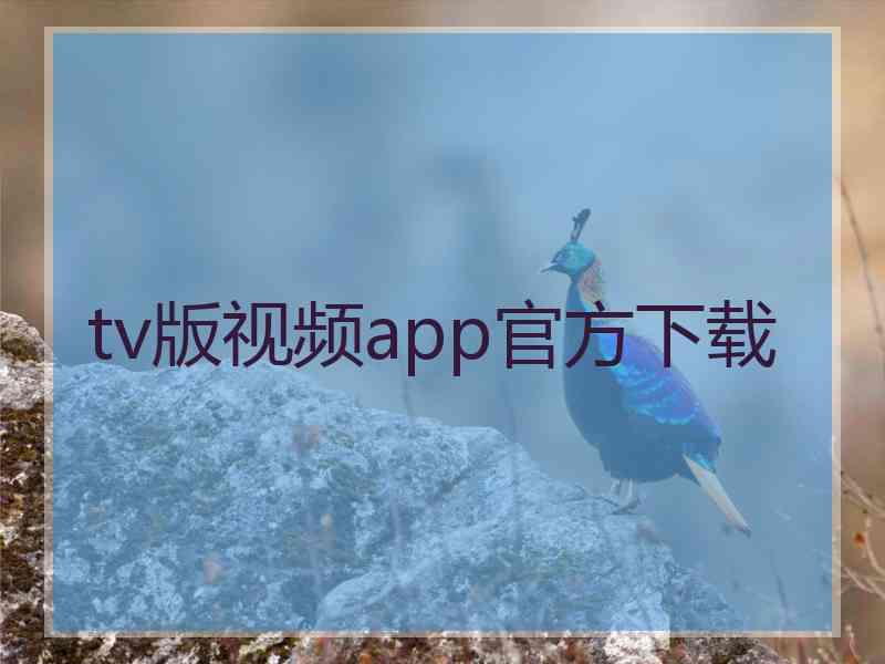 tv版视频app官方下载