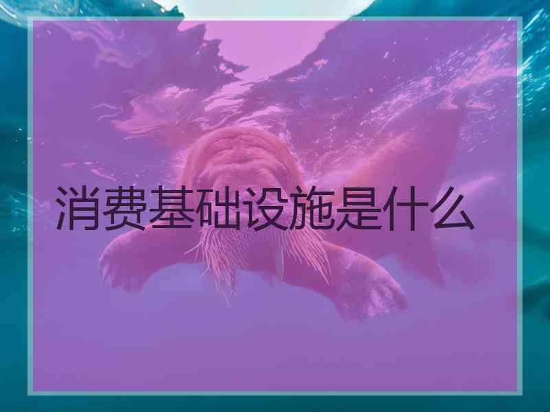 消费基础设施是什么