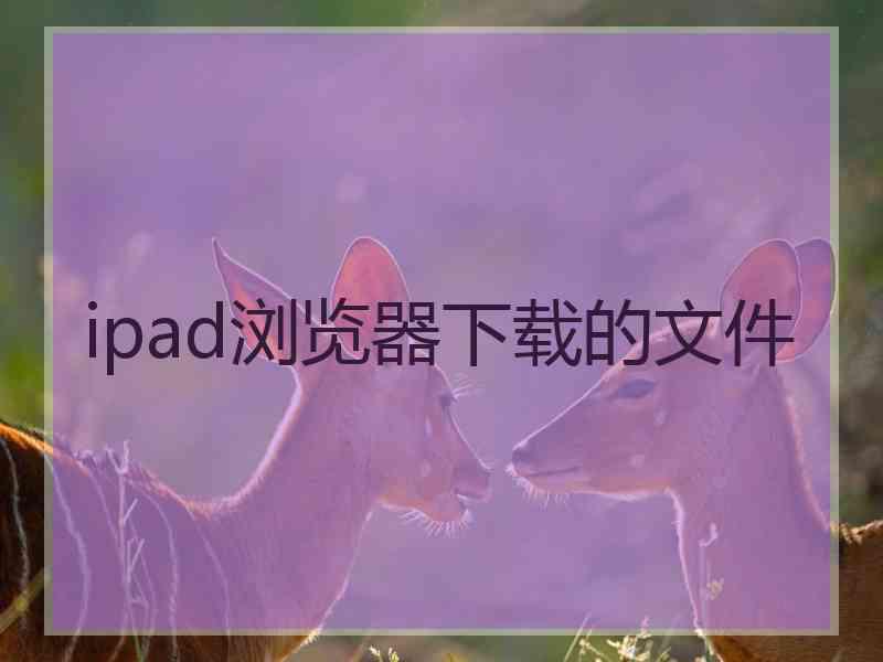 ipad浏览器下载的文件