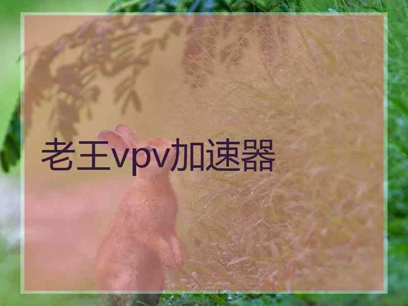 老王vpv加速器