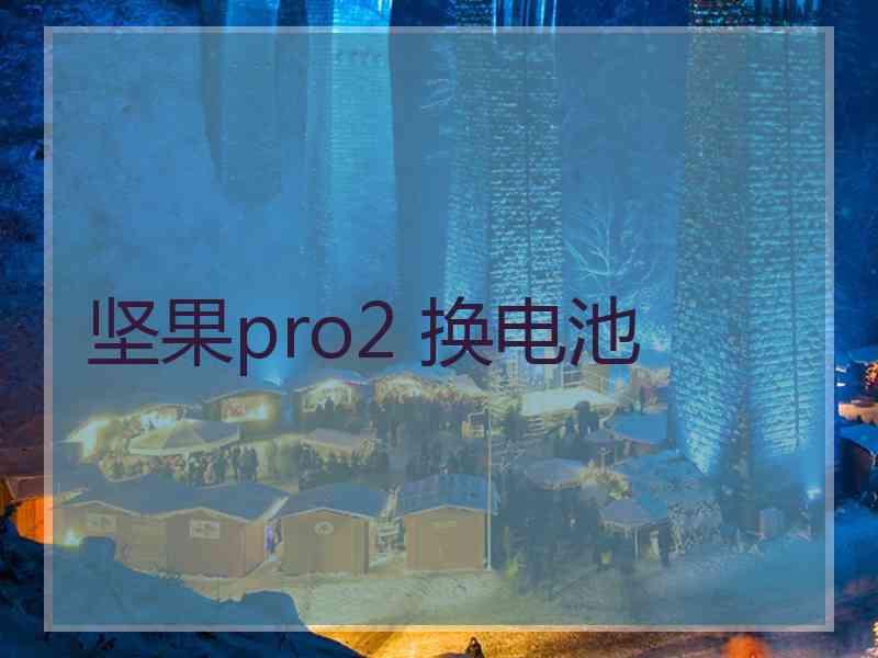 坚果pro2 换电池