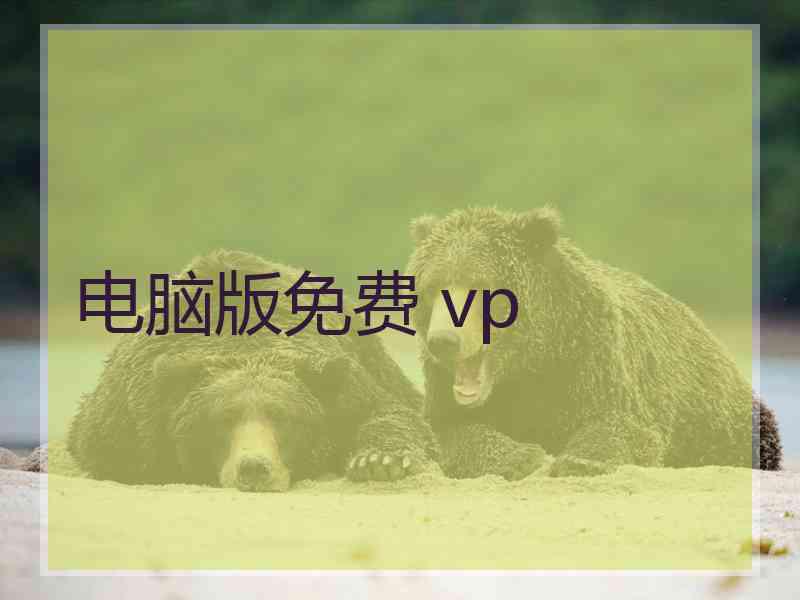 电脑版免费 vp