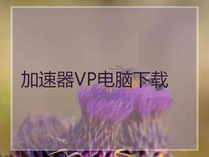 加速器VP电脑下载