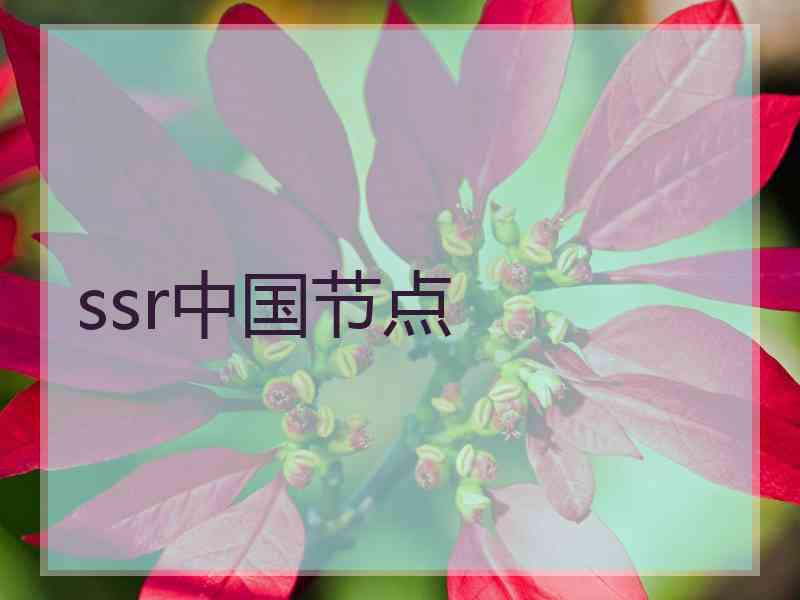 ssr中国节点