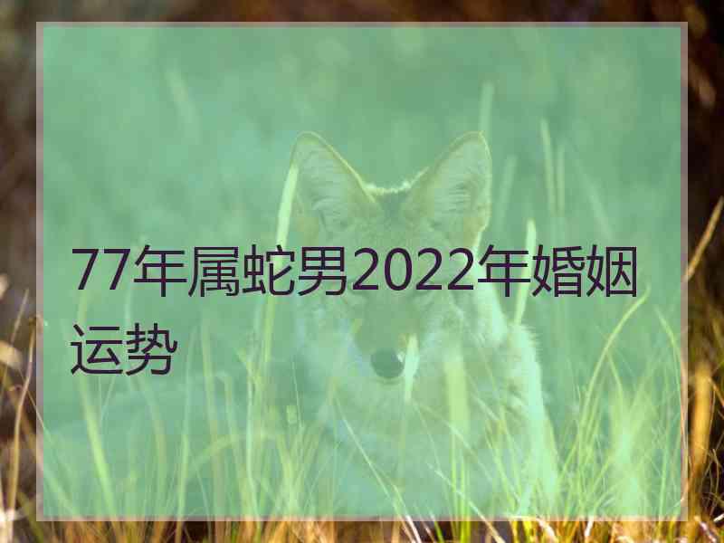 77年属蛇男2022年婚姻运势