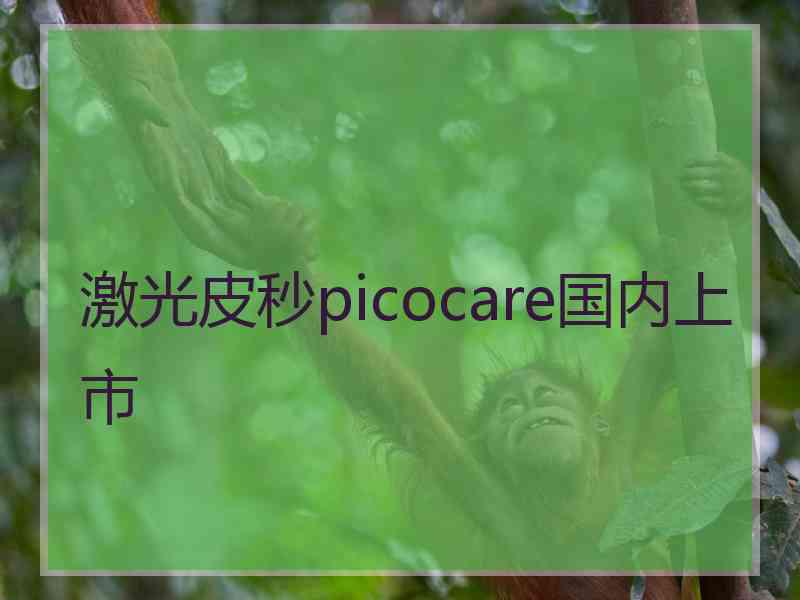 激光皮秒picocare国内上市