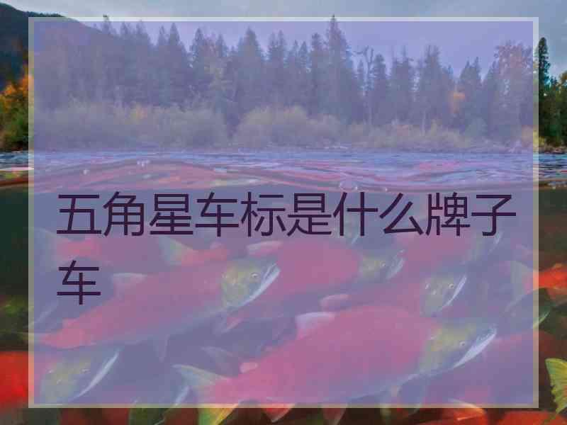 五角星车标是什么牌子车