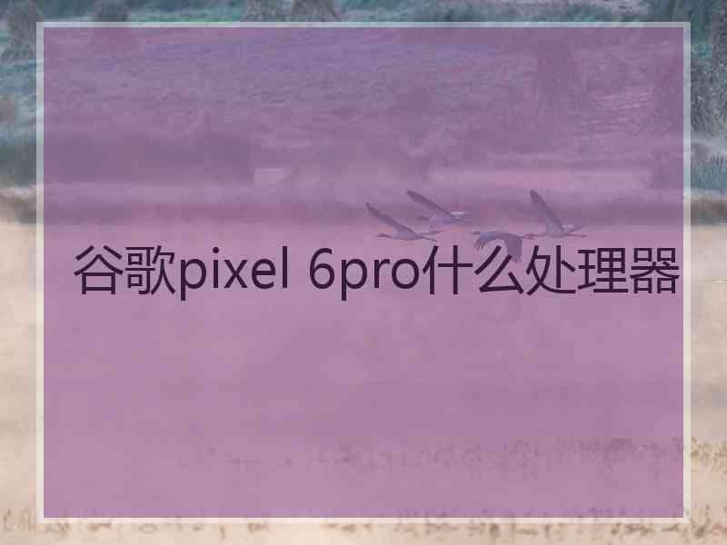 谷歌pixel 6pro什么处理器