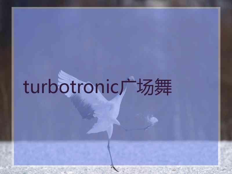 turbotronic广场舞