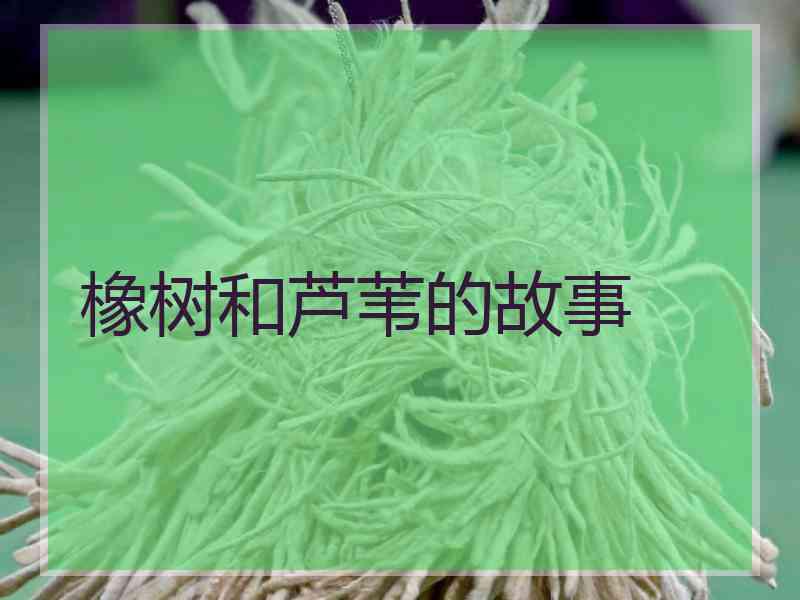 橡树和芦苇的故事